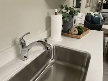 Moen Faucet at Harbor Heights 55+ Community, Olympia, Washington